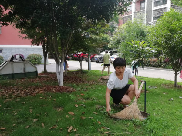 双木佳苑：20多名党员回“家”为小区梳妆打扮